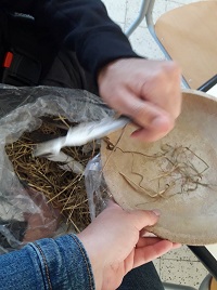 Preparing the nest: Adding some straw. 